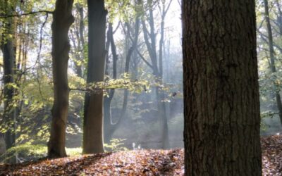 Zichtbaar, onzichtbaar